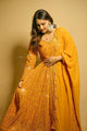 Vedika's Premium Quality Anarkali Suit Set